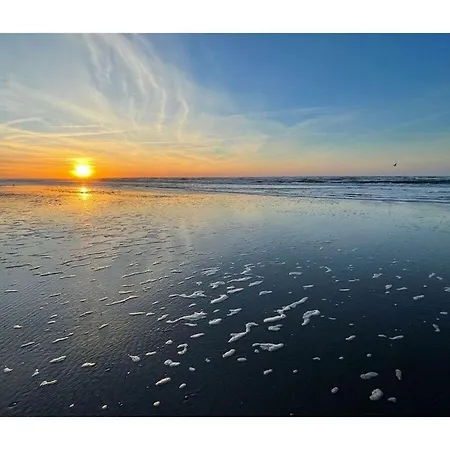 Penthuus Modern Retreat Juist